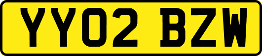 YY02BZW