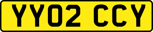 YY02CCY