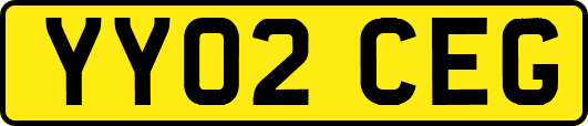 YY02CEG