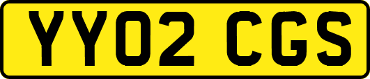 YY02CGS