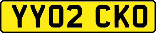 YY02CKO