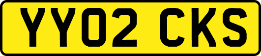 YY02CKS