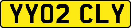 YY02CLY