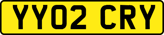 YY02CRY