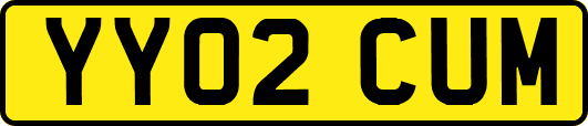 YY02CUM