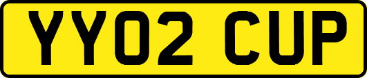 YY02CUP