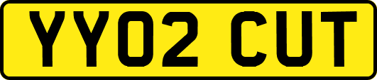 YY02CUT
