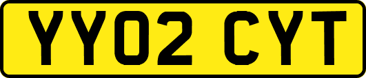 YY02CYT