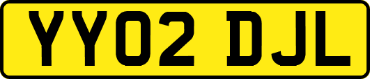 YY02DJL