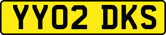 YY02DKS
