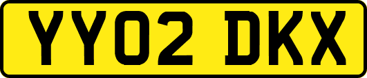 YY02DKX