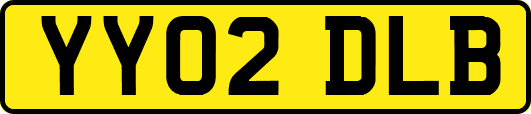 YY02DLB