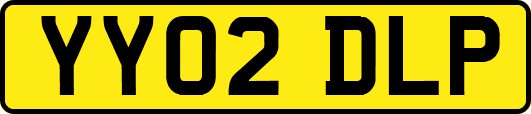 YY02DLP