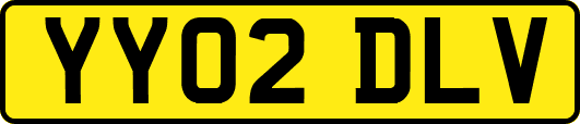 YY02DLV