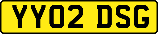 YY02DSG