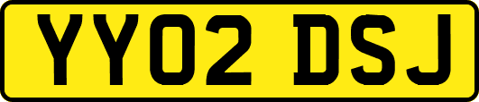 YY02DSJ