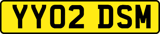 YY02DSM