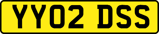 YY02DSS