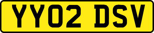YY02DSV