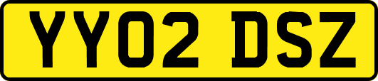 YY02DSZ