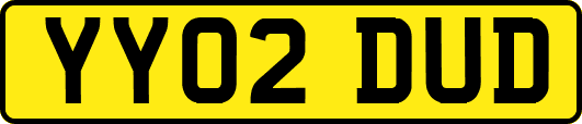 YY02DUD