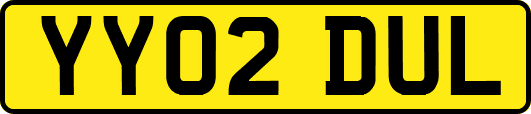 YY02DUL