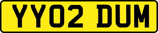 YY02DUM