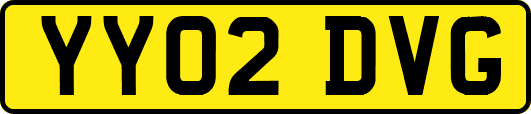 YY02DVG
