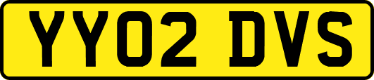 YY02DVS