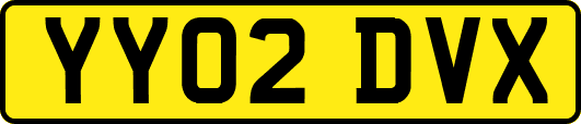 YY02DVX
