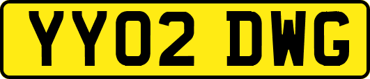 YY02DWG