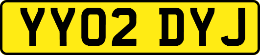 YY02DYJ