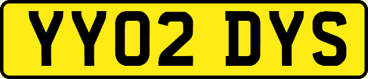 YY02DYS