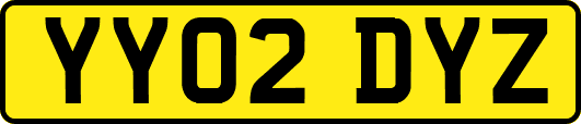 YY02DYZ