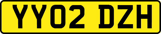 YY02DZH