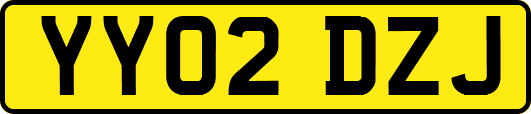 YY02DZJ