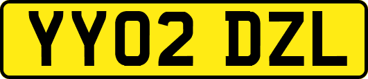 YY02DZL
