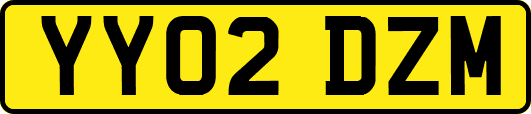 YY02DZM