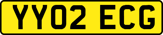 YY02ECG