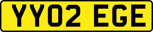 YY02EGE