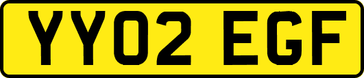 YY02EGF