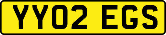 YY02EGS