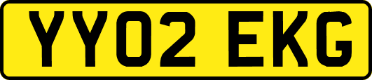 YY02EKG