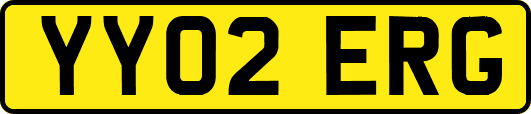 YY02ERG