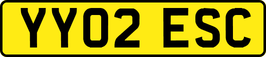 YY02ESC