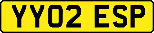 YY02ESP