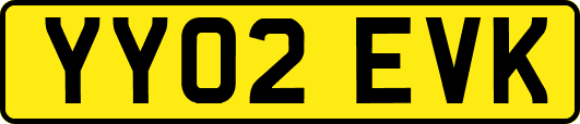 YY02EVK