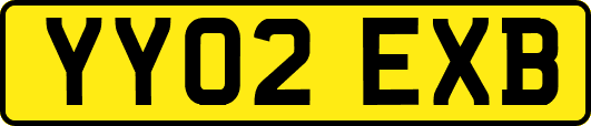 YY02EXB