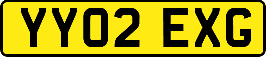 YY02EXG