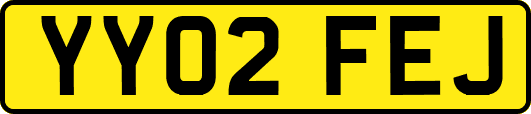 YY02FEJ